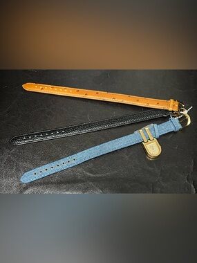 Suzanne Somers Padlock Watch with Interchangeable Bands